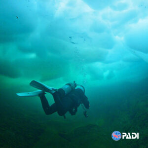 Bajo Hielo
