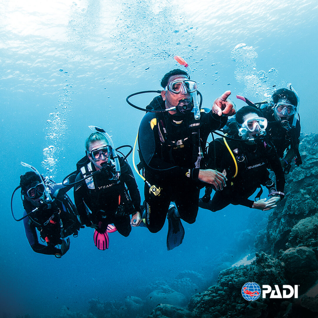 DiveMaster