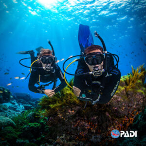 Open Water Diver