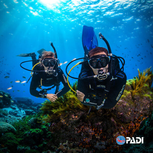 Open Water Diver