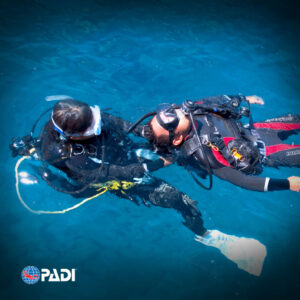 Rescuer Diver