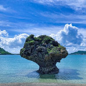 JAPÓN Okinawa - Kyoto - Osaka - Tokio (8-19 de Mayo 2025)