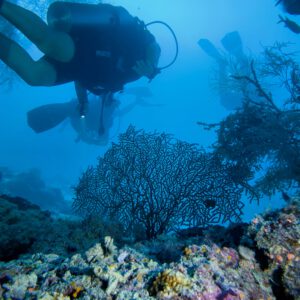 Maldivas - Ruta Best of Maldives (10 - 17 de Octubre 2026)