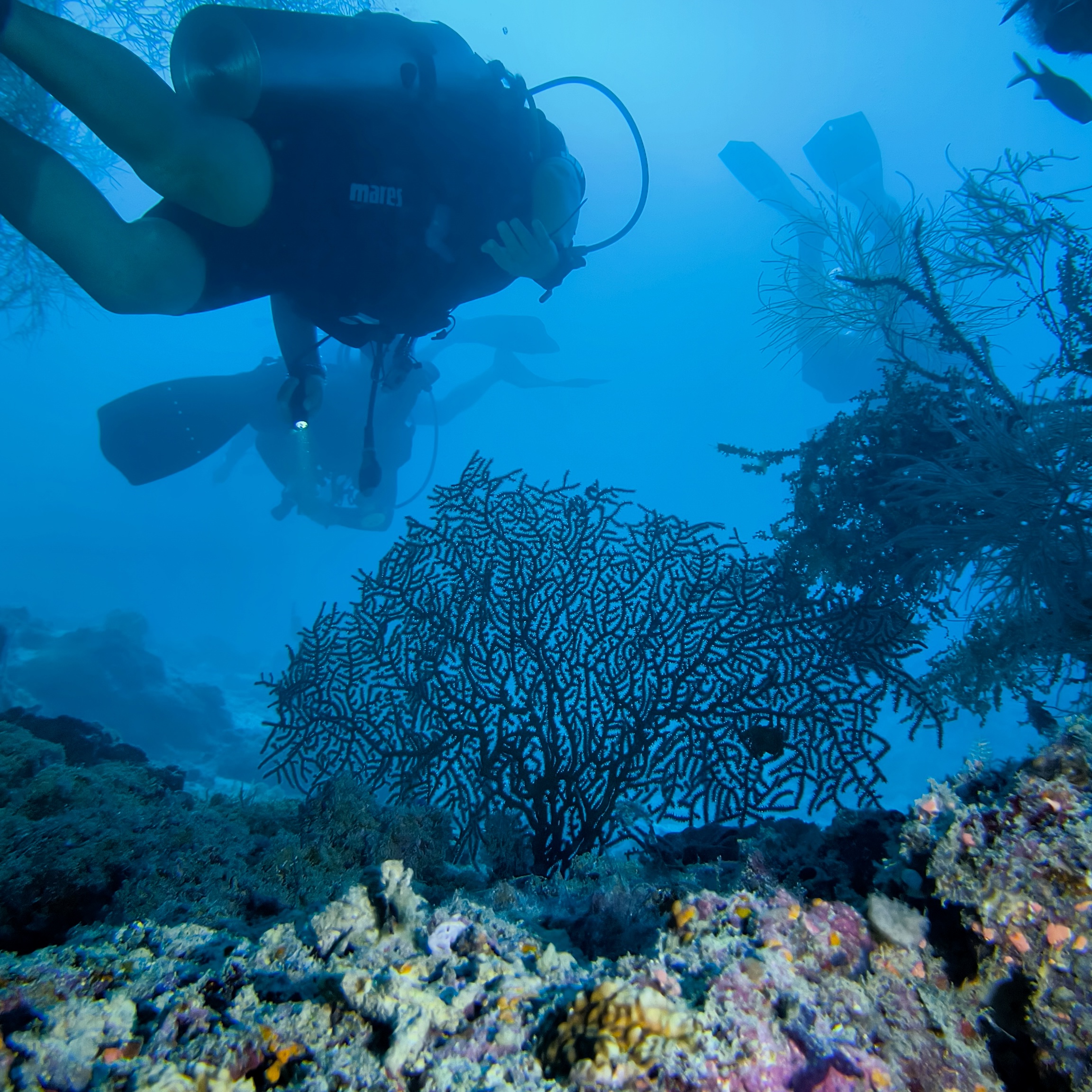Maldivas - Ruta Best of Maldives (10 - 17 de Octubre 2026)